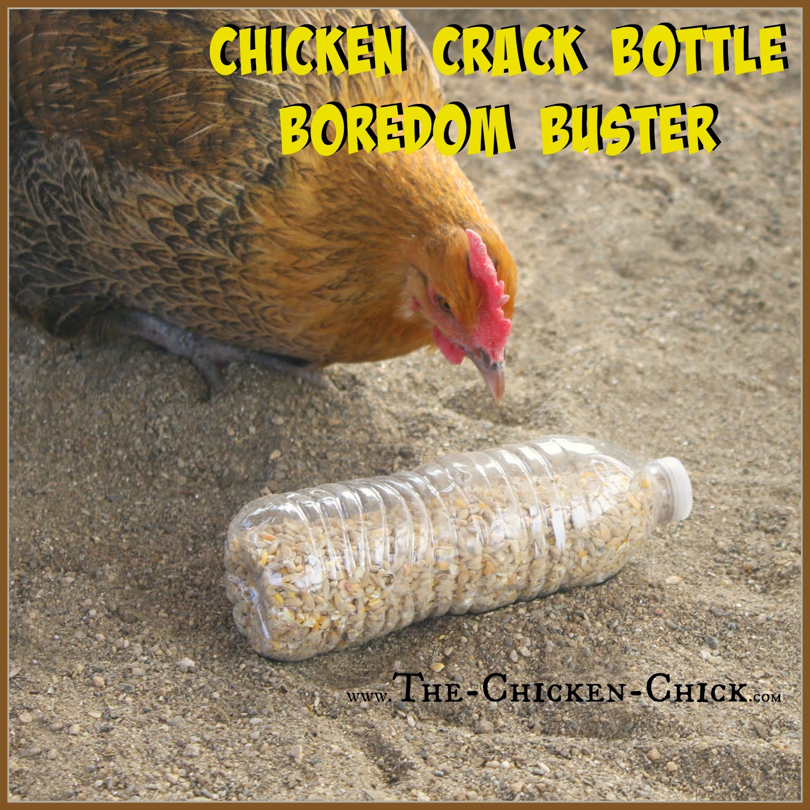 The Chicken Chick® 20+ Winter Boredom Busters for Backyard Chickens!