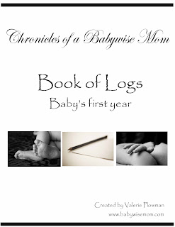Book of Logs to track things for baby