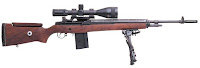 M21 Sniper Weapon System