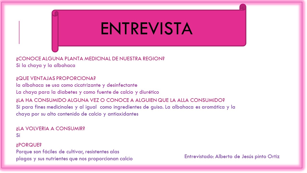 Proyecto De Plantas Medicinales Para Secundaria Pdf