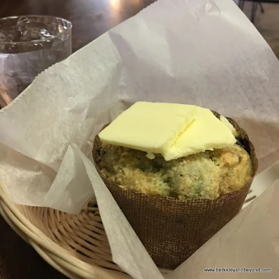 blueberry muffin at Angelina’s Bakery & Espresso in Lakeport, California