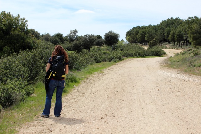 camino-de-santiago-madrid-via-pecuaria-manzanares-el-real