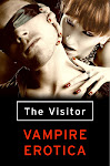 The Visitor: vampire erotica