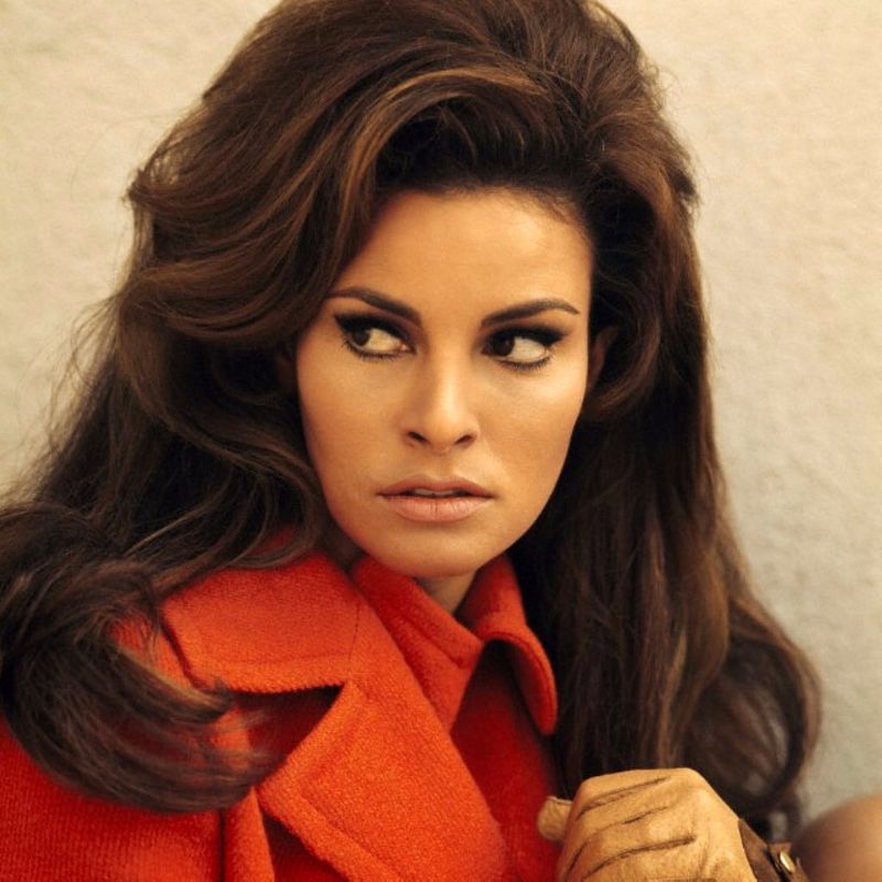 Color photos of young Raquel Welch  The classic beauty of the 1960s - 72
