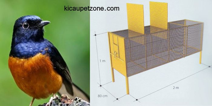 Membuat Kandang Umbaran Sendiri Untuk Arena Melatih Napas Burung