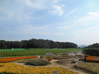 wolseong park gyeongju