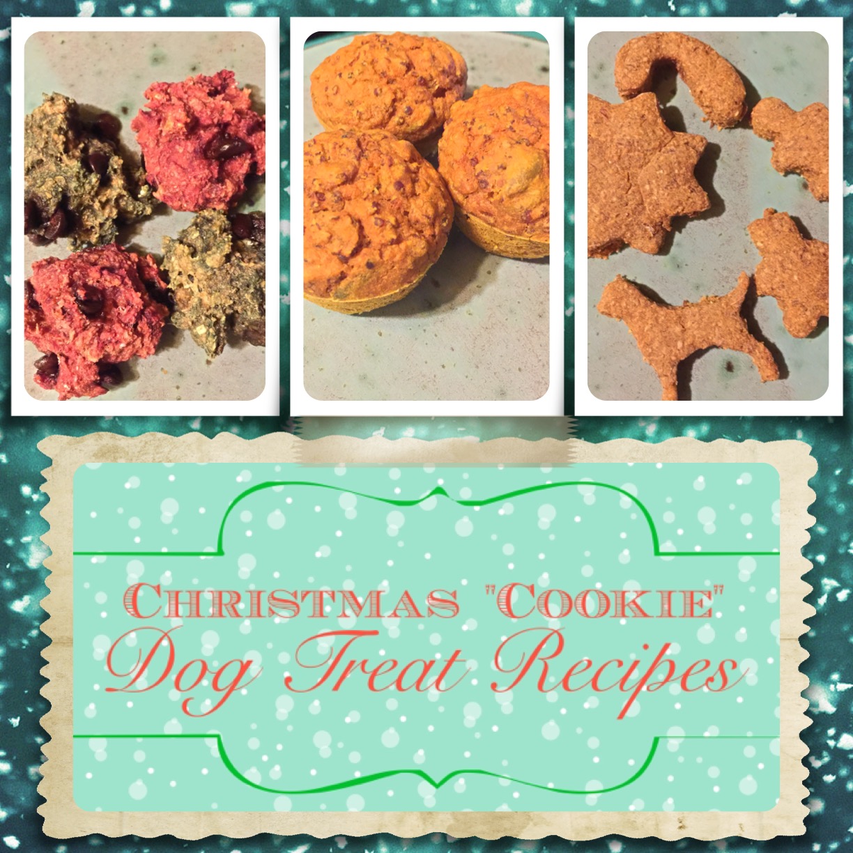 The Grand ChaHee dot Com: Christmas “Cookie” Dog Treats