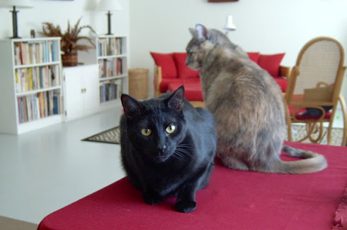 William and Olivia, 2004
