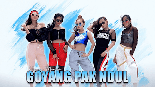 Lirik Lagu Goyang Pak Ndul - Rheyna Morena