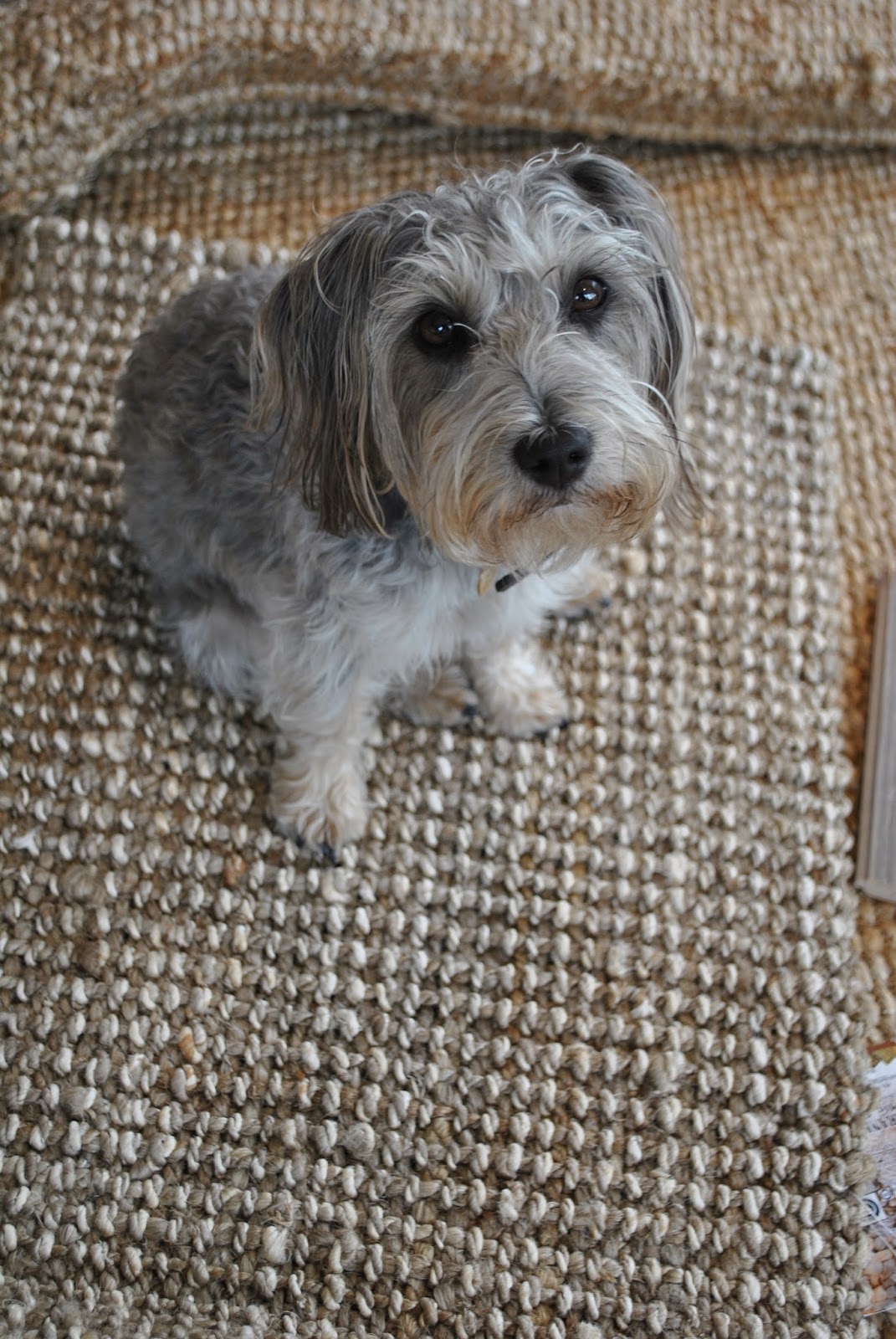 W I C K E N D E N H U T L E Y : Natural Flooring - The Comparison W I C K E N D E N H U T L E Y : Natural Flooring - The Comparison