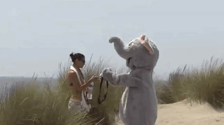 giphy3.gif