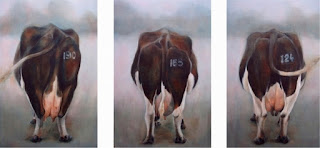 drie koeien