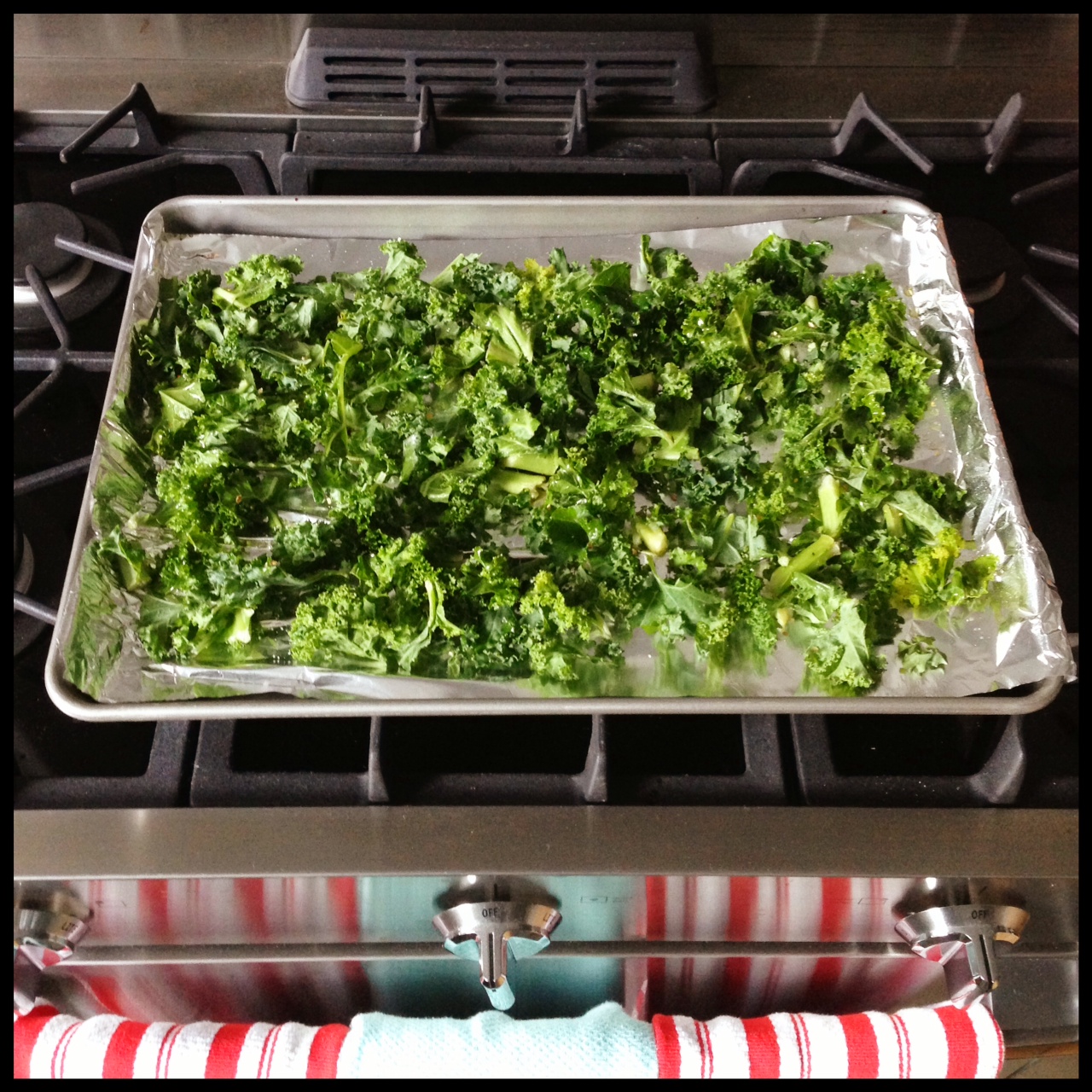 truffle kale chips