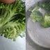 Sayur Brokoli Sebenarnya Penuh Ulat, Rendam Cara Ini Untuk Hapuskannya