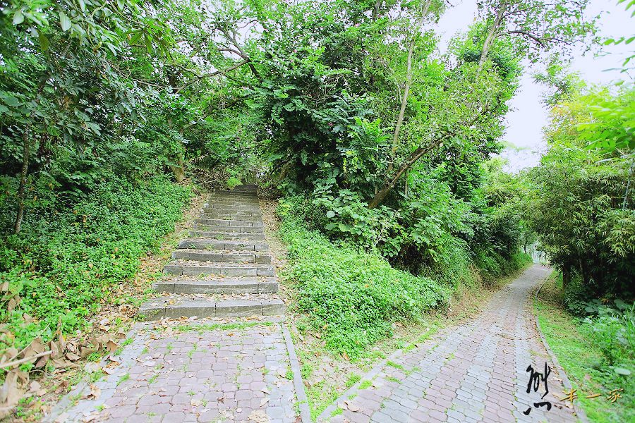 虎頭埤|台南新化景點古蹟~探尋消失的新化神社遺址