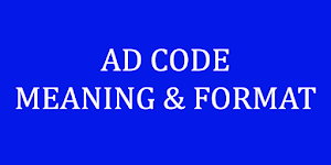 AD Code meaning and format in word file