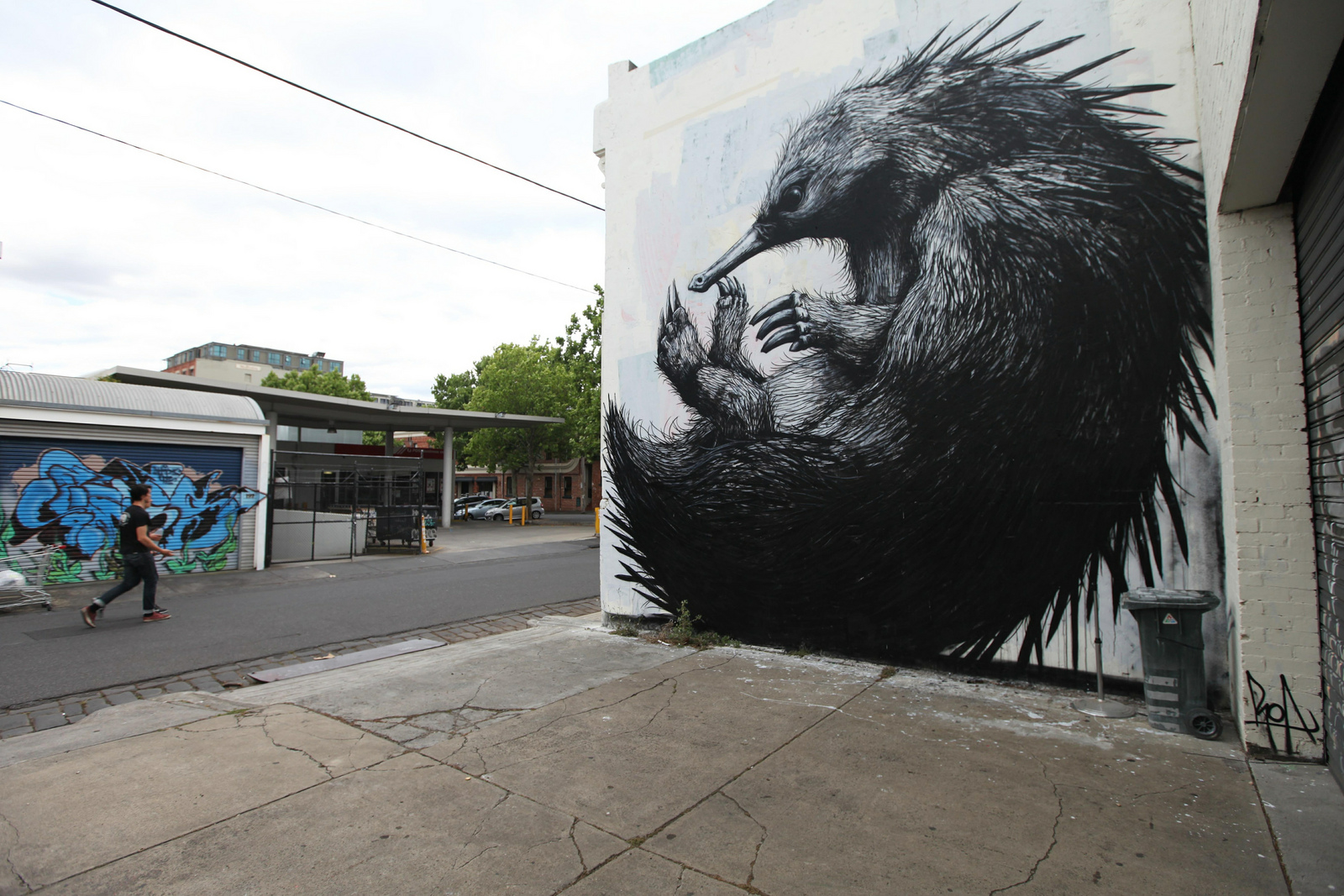 ROA New Murals In Melbourne, Australia (Part II) StreetArtNews