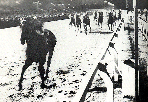 La Hípica Peruana: SANTORIN el Mejor Caballo Peruano de la Historia :)