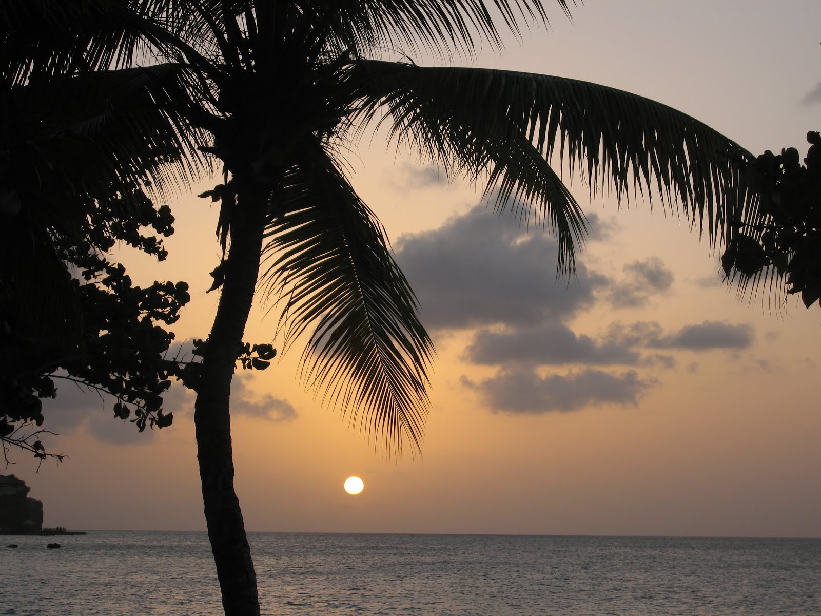 Caraibe, Grenada, 2014