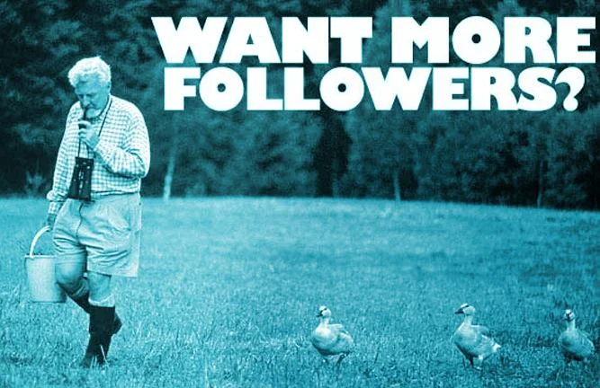 Best Practices For Getting Genuine Twitter Followers - infographic