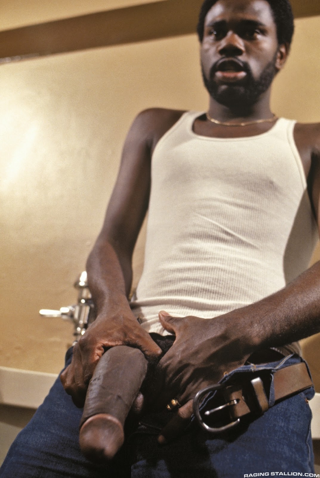 70s Ebonystars - Vintage Black Male Porn Stars 27260 | Hot Sex Picture