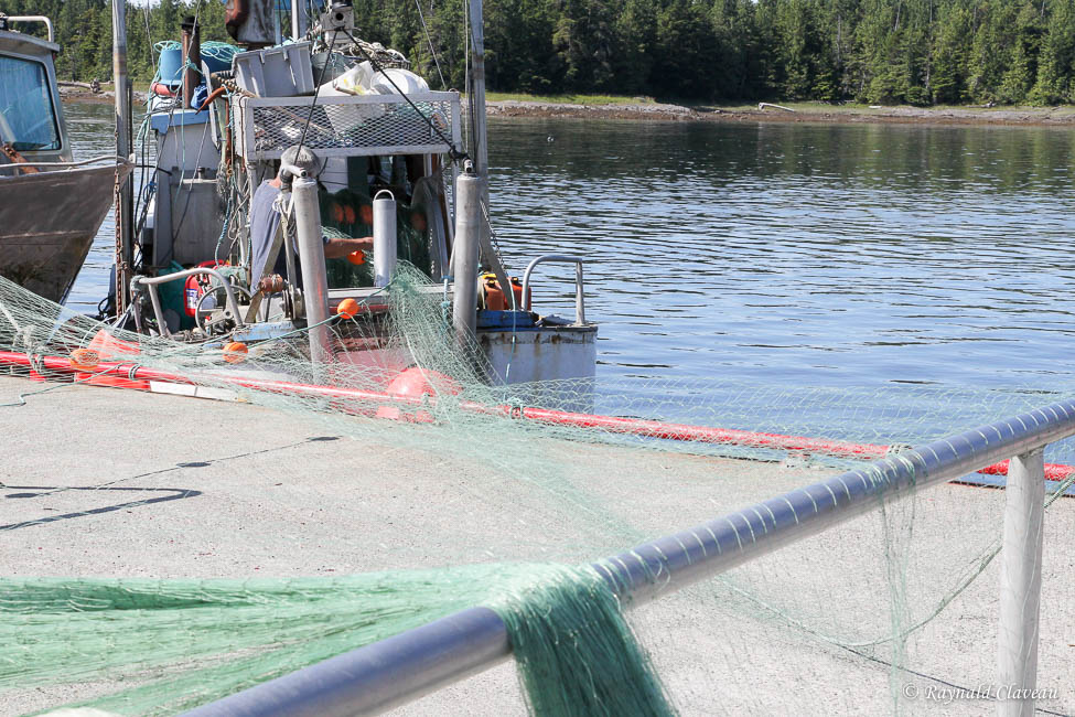 Photographie de la faune et Voyages Alaska 21 KITIMAT, PRINCE RUPERT