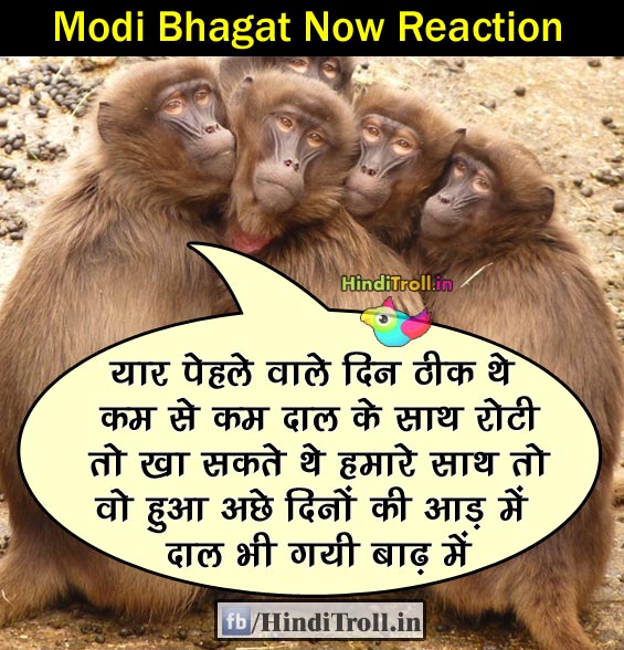 Modi Bhagat Troll| Modi BHagat Reaction Funny Photo | Modi Bhagat Funny Wallpaper