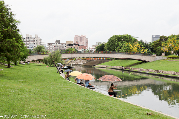 台中大里|興大康橋水岸公園|景觀橋|阿勃勒|落羽松|大里最美河畔 台中大里|興大康橋水岸公園|景觀橋|阿勃勒|落羽松|大里最美河畔