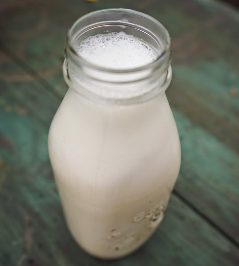 Creamy Coconut Milk Beverage CITY & SEA LIVING