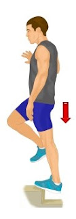 Renforcement des tendons Renforcement des tendons