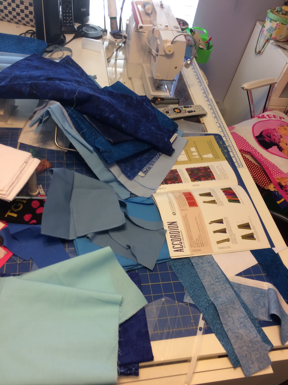 Rosthequilter, quilting is my sanity……. Accordion Quilt