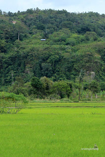 lembah harau sumatera barat