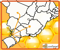 Região Oeste do Paraná tem Indicação Geográfica do mel reconhecida pelo INPI Noticiar Comunicação