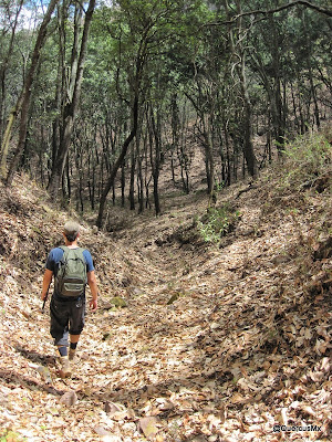 Bajando a la barranca del Tecuán