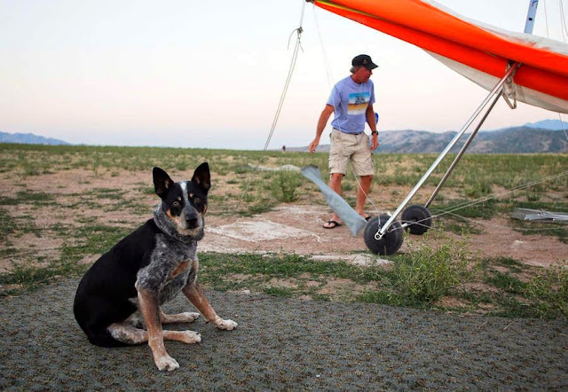 El perro volador que curó a su dueño la ansiedad