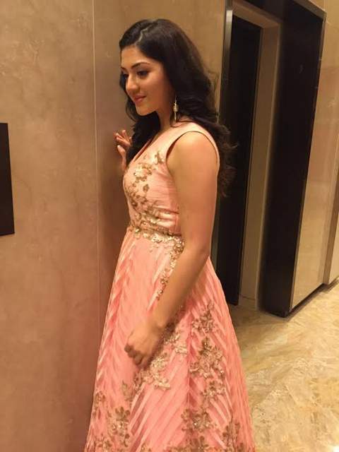 Mehreen kaur pirzada HD wallpapers and photos 2017 year