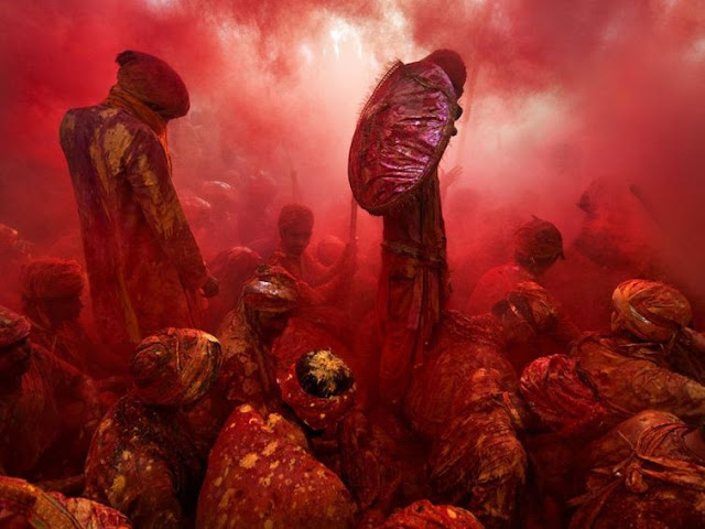 National Geographic - Best Wildlife Pictures of January 2016 National Geographic - Best Wildlife Pictures of January 2016