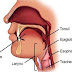How to Treat Symptoms of Laryngitis | Laryngitis Causes, Symptoms, Diagnosis, and Treatment
