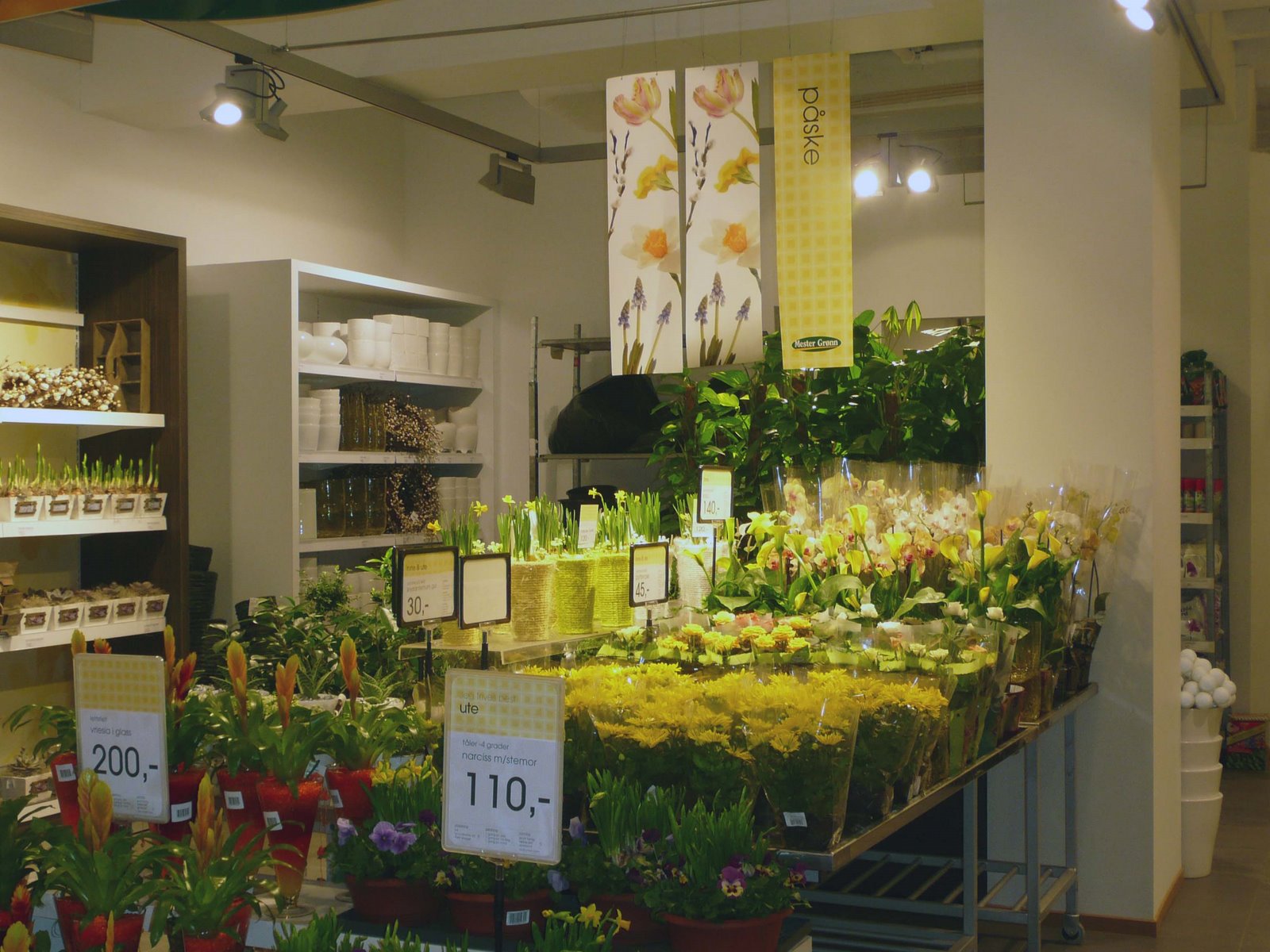 Brazil Flowers Delivery