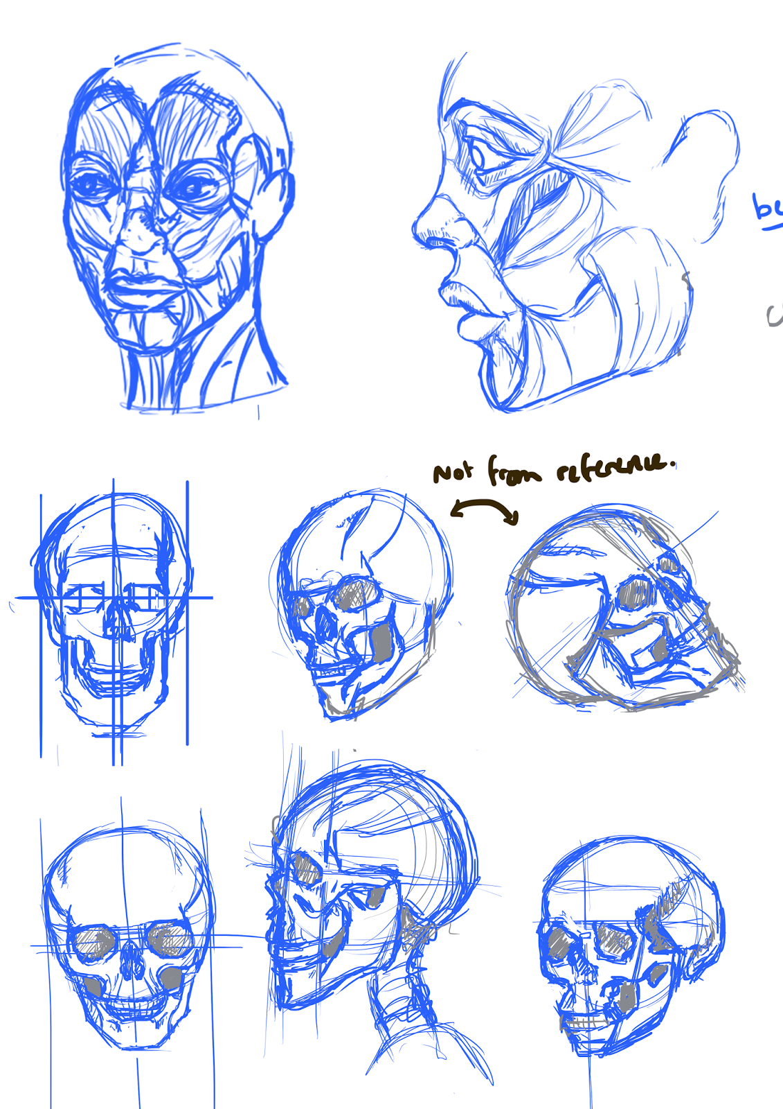 Professional Specialisation: 06-02-14 - Facial expression