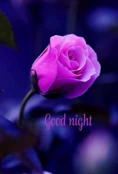 good night images 3d