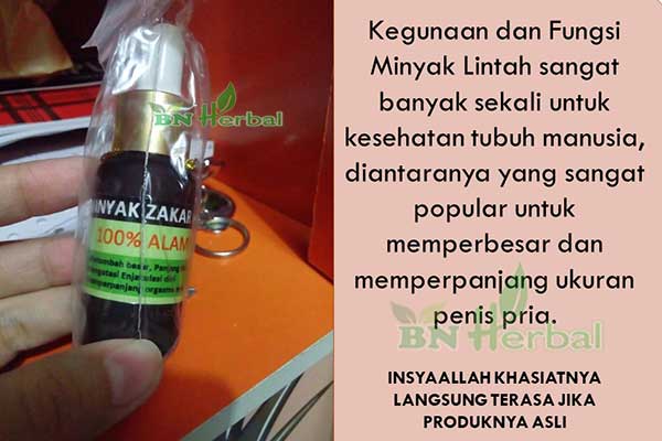 Minyak lintah asli Kalimantan