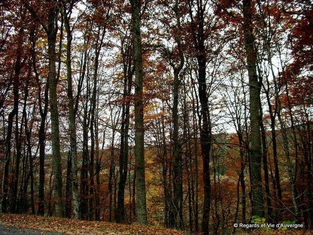 Paysage d'automne