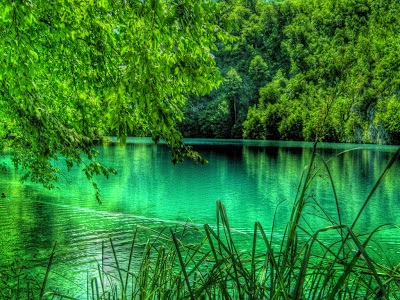 Pemandangan Pemandangan