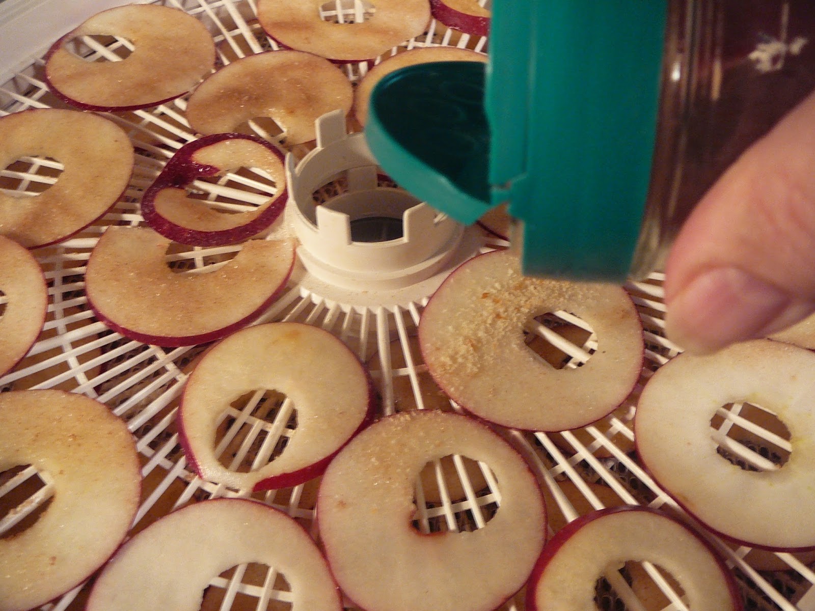 The Hidden Pantry Dehydrating Apples for Cinnamon Apple Chips, My