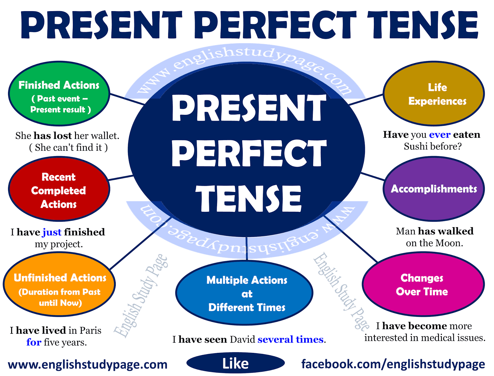 Present Perfect Practice English Worksheet