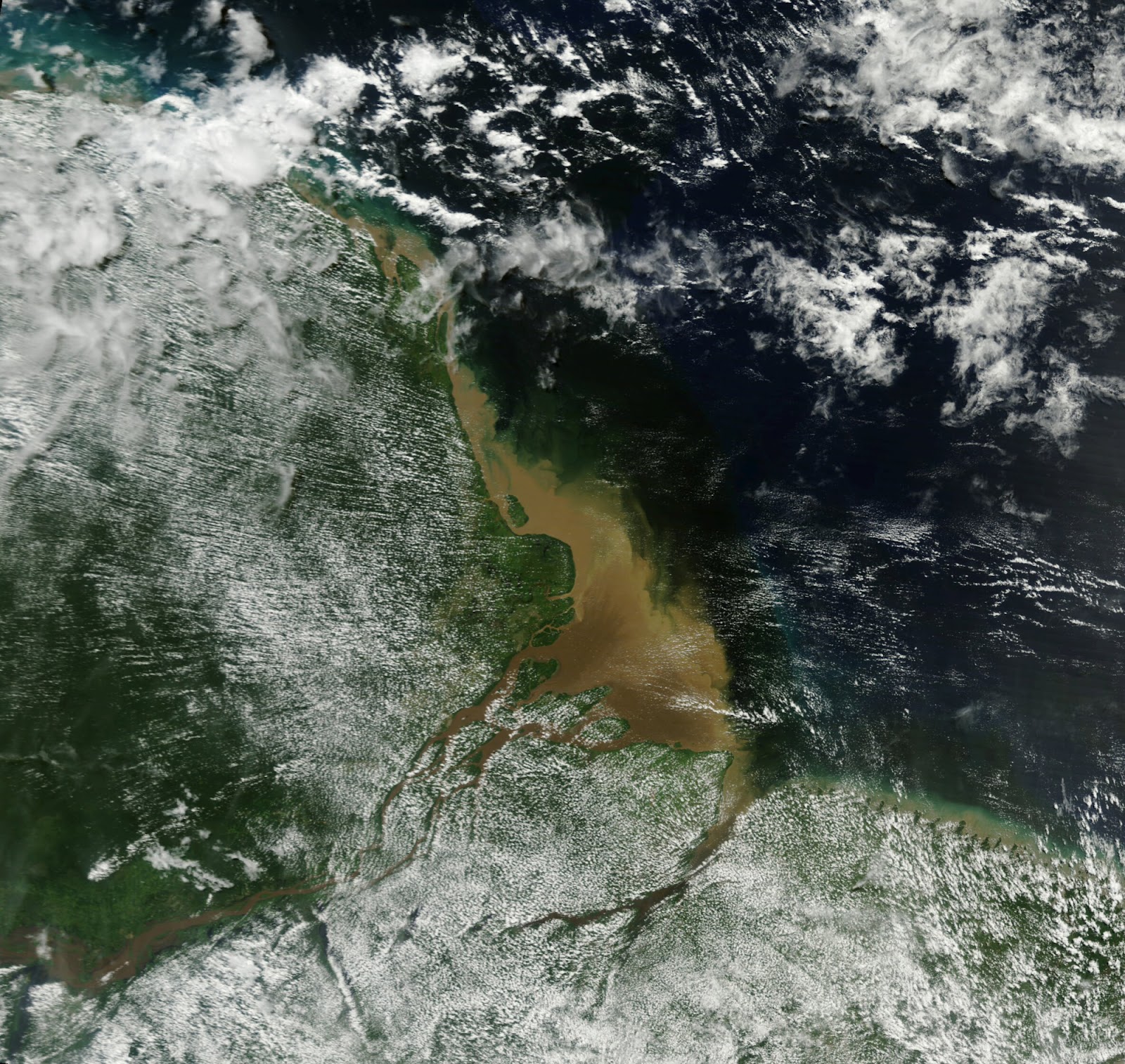 Река в океане 7. Амазонка впадает в океан. Впадение амазонки в Атлантический океан. Место впадения амазонки в Атлантическом океане. Река Амазонка.