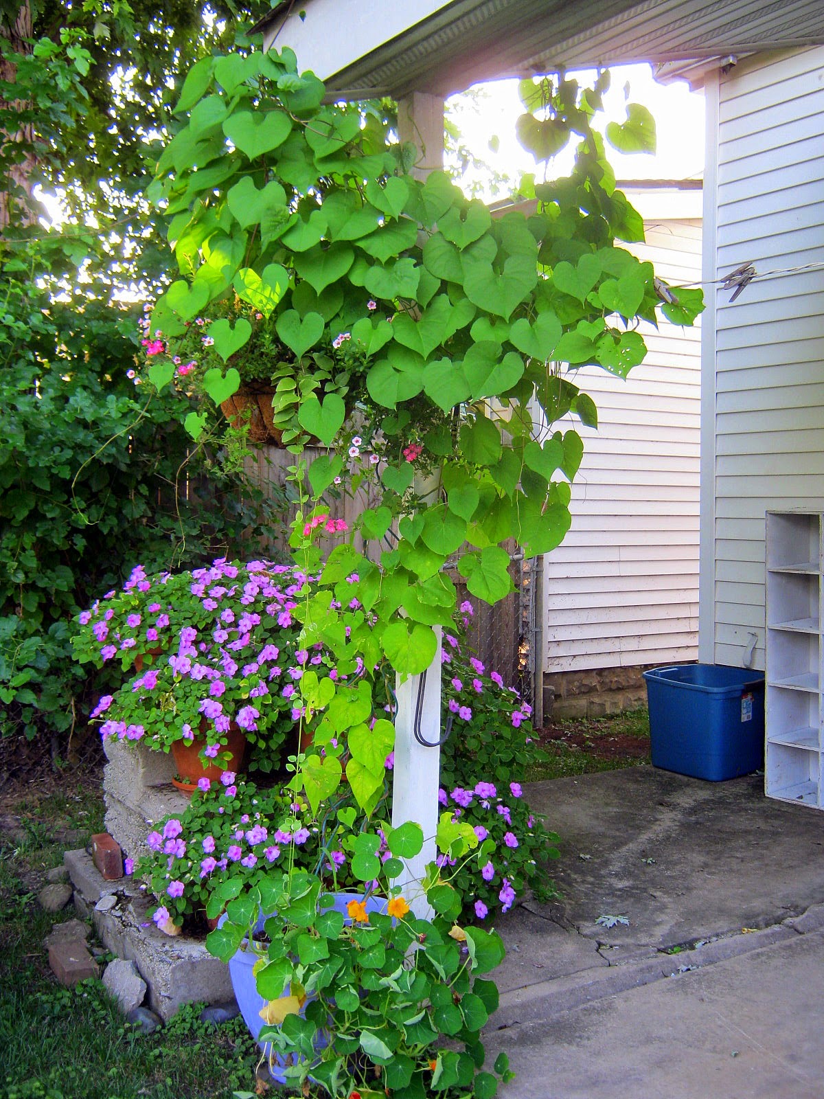 Lavender Garden Cottage: Cottage Style Party & August Garden