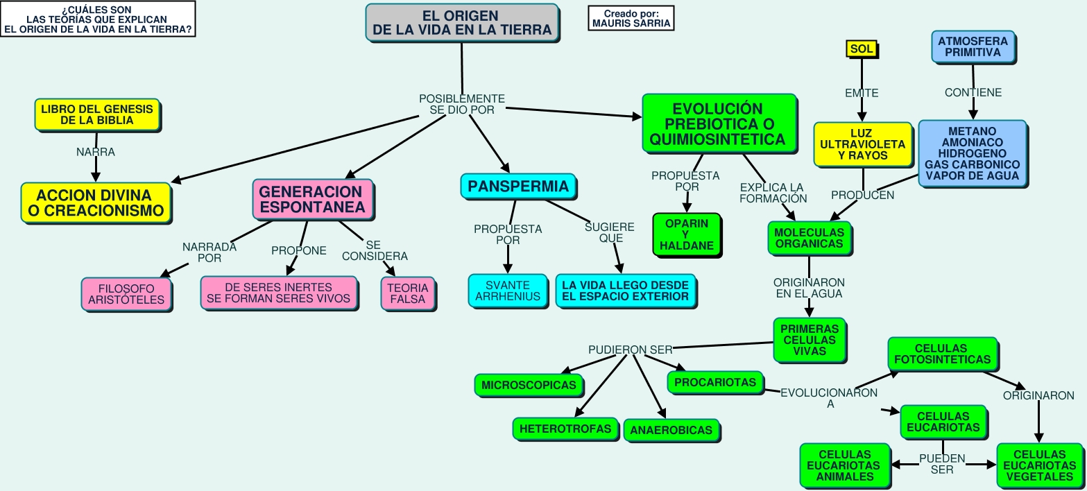 Teorias Sobre El Origen De La Vida Mindmeister Mapa Mental The Best