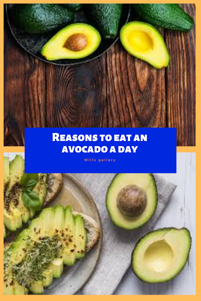 13 reasons to eat an avocado a day